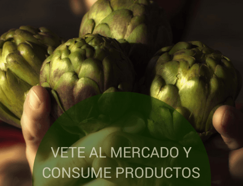 5 al día