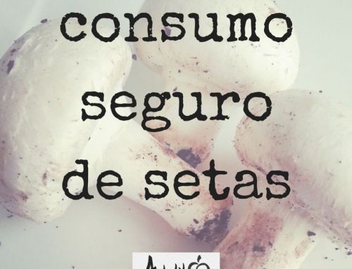 Consumo seguro de setas