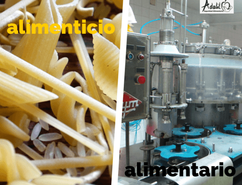 Alimentario o alimenticio