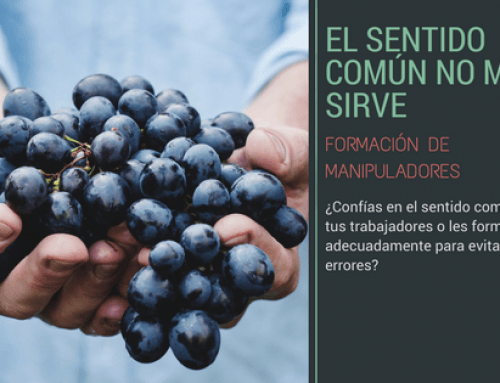 El sentido común no me sirve