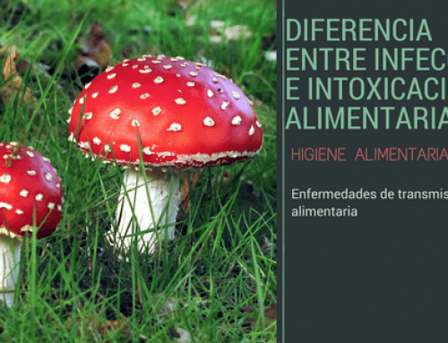 Diferencia entre infección e intoxicación alimentaria