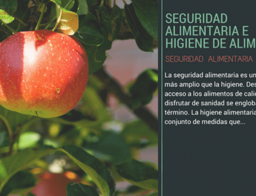Seguridad alimentaria e higiene de alimentos: ¿son lo mismo?
